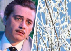 Квадроберы-дети, актер на «диете» и мечты о лете: главные новости Ставрополья с 14 по 20 октября  