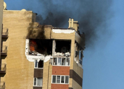 Экстраординарная ситуация с собаками и взрыв газа на Тухачевского: главные новости Ставрополья за неделю 