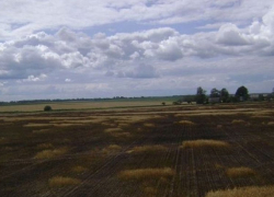 Фермеры несут огромные убытки из-за закрытого моста на Ставрополье