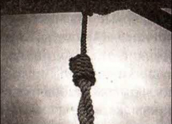 Житель Ставрополя найден мертвым на дереве