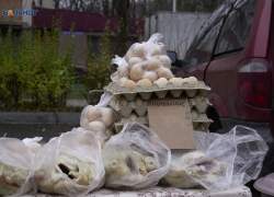 Подорожание яиц предрекла эксперт ставропольского вуза