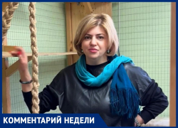 Приученные убивать: ставропольские зоозащитники рассказали о незавидной участи псов для взрослых утех