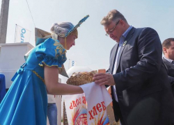 Природа строит козни ставропольскому урожаю