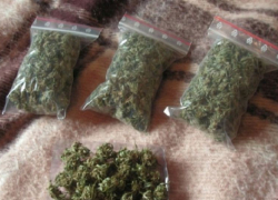 Трое несовершеннолетних продавали марихуану в Предгорном районе