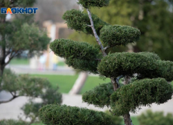 Ожидается жаркий и солнечный день в Ставрополе 19 июля