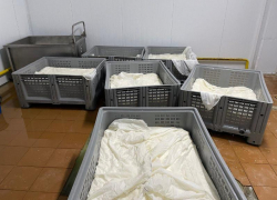Более 10 новых уголовных дел возбудили в отношении поставщиков молочки с кишечной палочкой в детсады Ставрополя