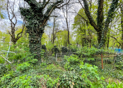 Больше 4,5 миллиона потратят на содержание недействующих кладбищ в Ставрополе