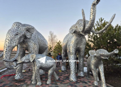 Новые арт-объекты появились в аэропорту Ставрополя