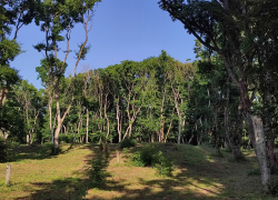 Солнце и дожди в один день пообещали ставропольцам 7 апреля