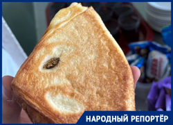 Булочку с тараканом обнаружили в одной из школ Ставрополья