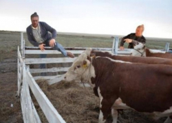 На Ставрополье задержали скотокрадов