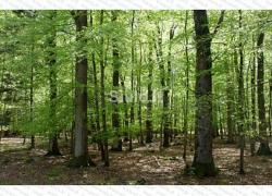 Ставрополец пытался свести счеты с жизнью, но передумал