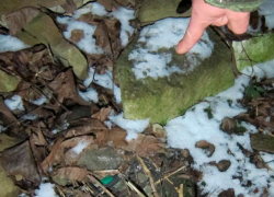 Синтетические наркотики распространяли в Ессентуках