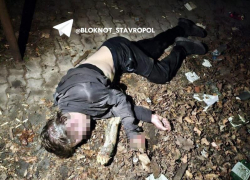 Задержать всех участников конфликта: Бастрыкин дал поручения после убийства 20-летнего парня в Пятигорске