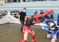 На Ставрополье заявили, что казачий бокс может войти в олимпийскую программу