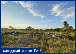 «Из родины свинарник делаете»: жительница города Ипатово пожаловалась на свалку