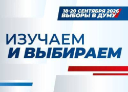 ИИзбиратель: как нейросети советуют ставропольцам голосовать на выборах