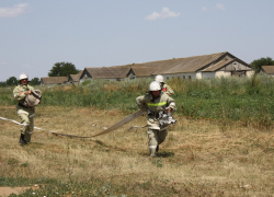 На Ставрополье чистоплотная пенсионерка сожгла соседскую пасеку 