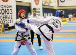 Призы из Грозного, трофеи из Видного: ставропольские единоборцы преуспели на всероссийских турнирах