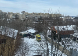Бездомные собаки насмерть загрызли 9-летнюю девочку в Ставрополе