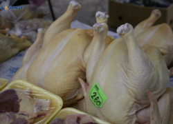 Мясо с сальмонеллой нашли на производстве и в магазине Ставропольского края