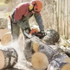 Стоимость распилки деревьев на дрова