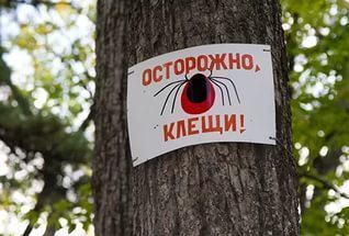 Число заболевших КГЛ на Ставрополье выросло до десяти человек