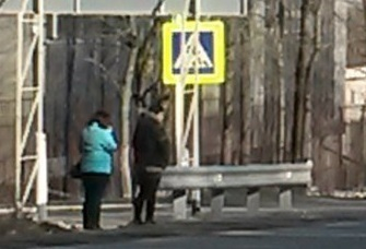 Ставропольские родители требуют убрать проституток с перекрестка возле школы
