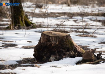 Температурные качели от -4 до +7 градусов ожидаются 21 декабря в Ставропольском крае