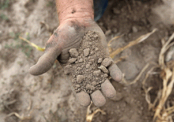 Восточным районам Ставрополья грозит почвенная засуха 