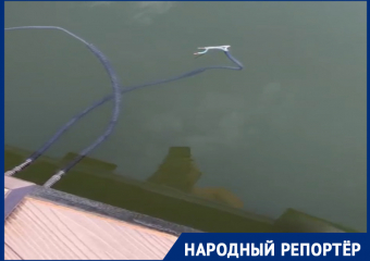Купание с экстримом. На оголенные провода в озере Кисловодска пожаловались отдыхающие