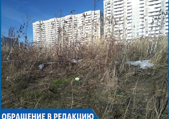 Гетто на окраине Ставрополя: заброшенный район погряз в темноте, клещах и горах мусора 
