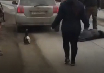 «Тойота» сбила 81-летнюю пенсионерку-нарушительницу в Пятигорске  