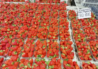 «Мы бы сами хотели понять, почему так дорого»: цены на клубнику шокируют ставропольцев и самих продавцов