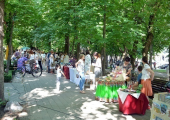 Творческий фестиваль поразил множеством арт-площадок в центре Ставрополя