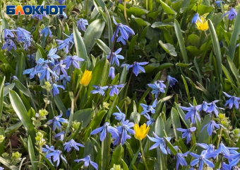 Весна с прохладным акцентом: какой будет погода в Ставрополе 25 марта