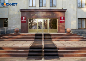 За что уволят губернатора и убьют собак: какие вопросы подняли на заседании думы Ставрополья