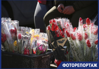 К 8 марта Ставрополь «утонул» в тюльпанах, мимозе и шарах