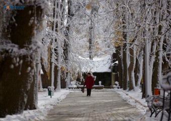 Ставропольцев предупредили об утренних заморозках в ближайшие 2 дня