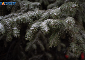 До 17 апреля продлятся ночные заморозки на Ставрополье