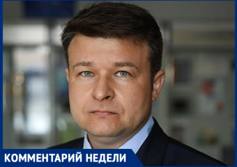 Об усыплении безнадзорных собак после трагедии с 9-летней девочкой рассказал ставропольский юрист