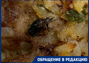 «Это не бесплатное питание»: котлету с мухой предложили ученикам в школе на 204 квартале Ставрополя
