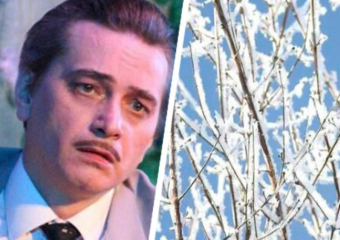 Квадроберы-дети, актер на «диете» и мечты о лете: главные новости Ставрополья с 14 по 20 октября  