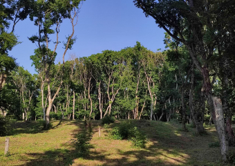 Солнце и дожди в один день пообещали ставропольцам 7 апреля