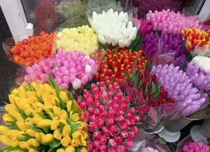 «Мужики нынче жадные пошли»: не более 1000 рублей готовы потратить ставропольцы на букет к 8 марта