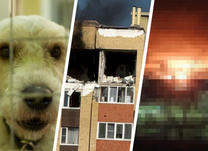 Собаки-убийцы на улицах, газовый кошмар в высотке и БПЛА над городами: что потрясло Ставрополье в 2025 году