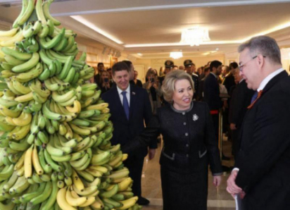 Банановый оазис, новый бассейн и высокие коммунальные платежи : что обещали ставропольцам чиновники к 2026-му году