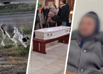 Какие выводы сделал Ставрополь после того, как на Чапаевке собаки насмерть загрызли девочку 