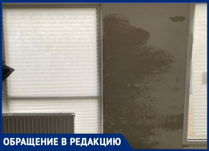 «Вздулся ламинат, отклеились обои»: застройщик в Михайловске взбесил 23 семьи качеством проданного жилья