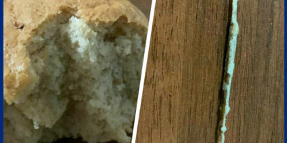 На вкус как дерево: в Буденновске обнаружен инородный предмет в выпечке